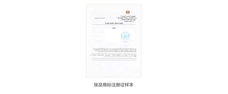 埃及商標注冊證樣本